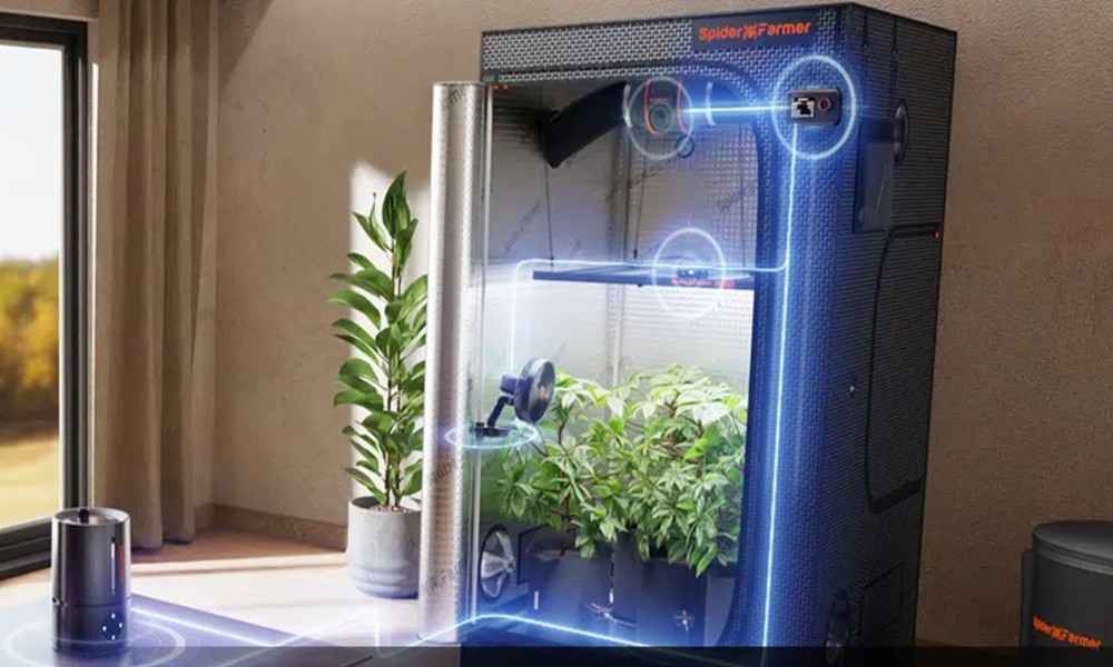 Stay Cool and Grow Strong: The Ultimate Guide to Clip-On Fans for Luxurious Indoor Gardens